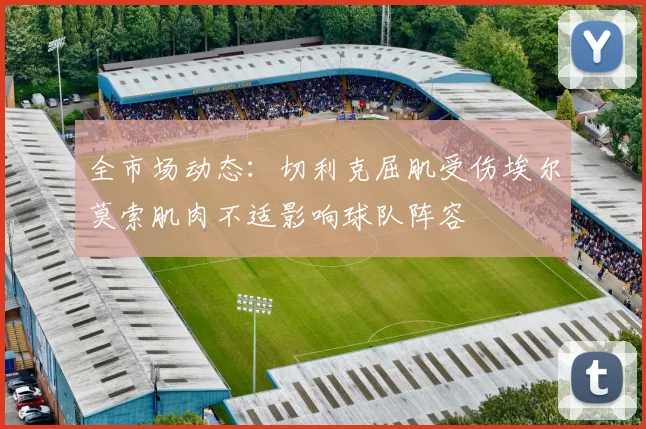 全市场动态：切利克屈肌受伤埃尔莫索肌肉不适影响球队阵容